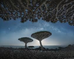 Socotra Island