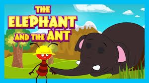 The Elephant and the Ants