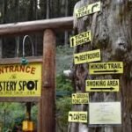 The Mystery Spot
