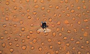 Qatar's Desert Fairy Circles