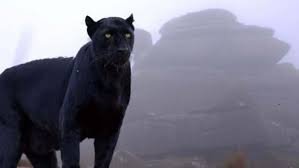 The Beast of Bodmin Moor