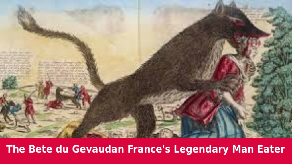 The Bete du Gevaudan