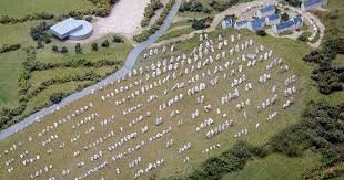 The Carnac Stones